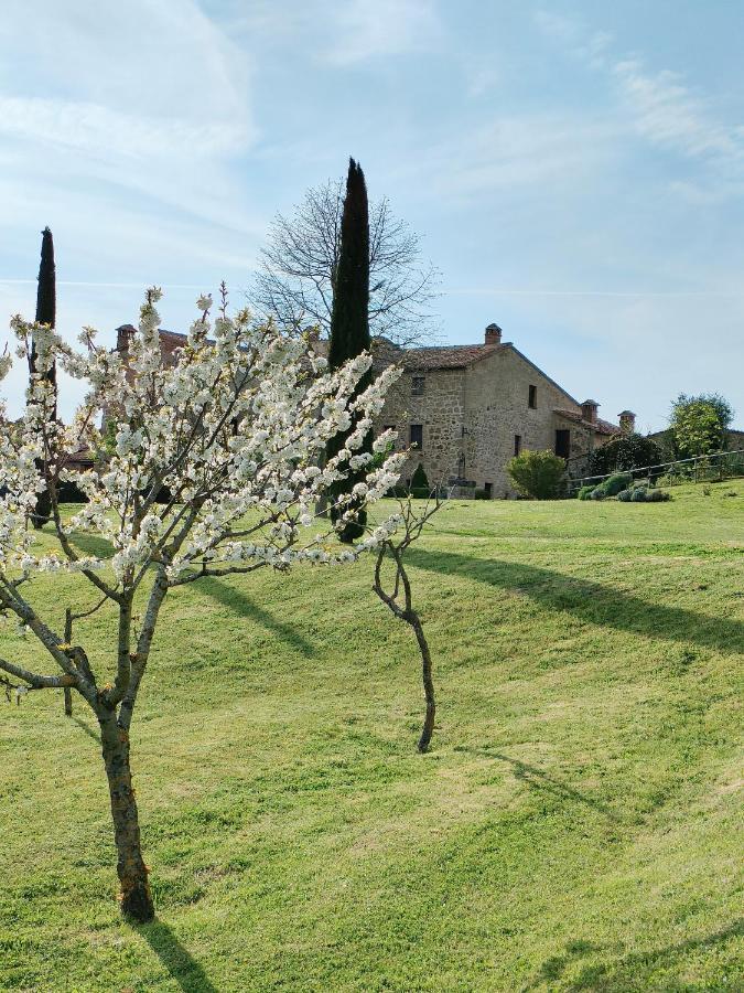 Appartamento Casa Mae Sarteano Esterno foto
