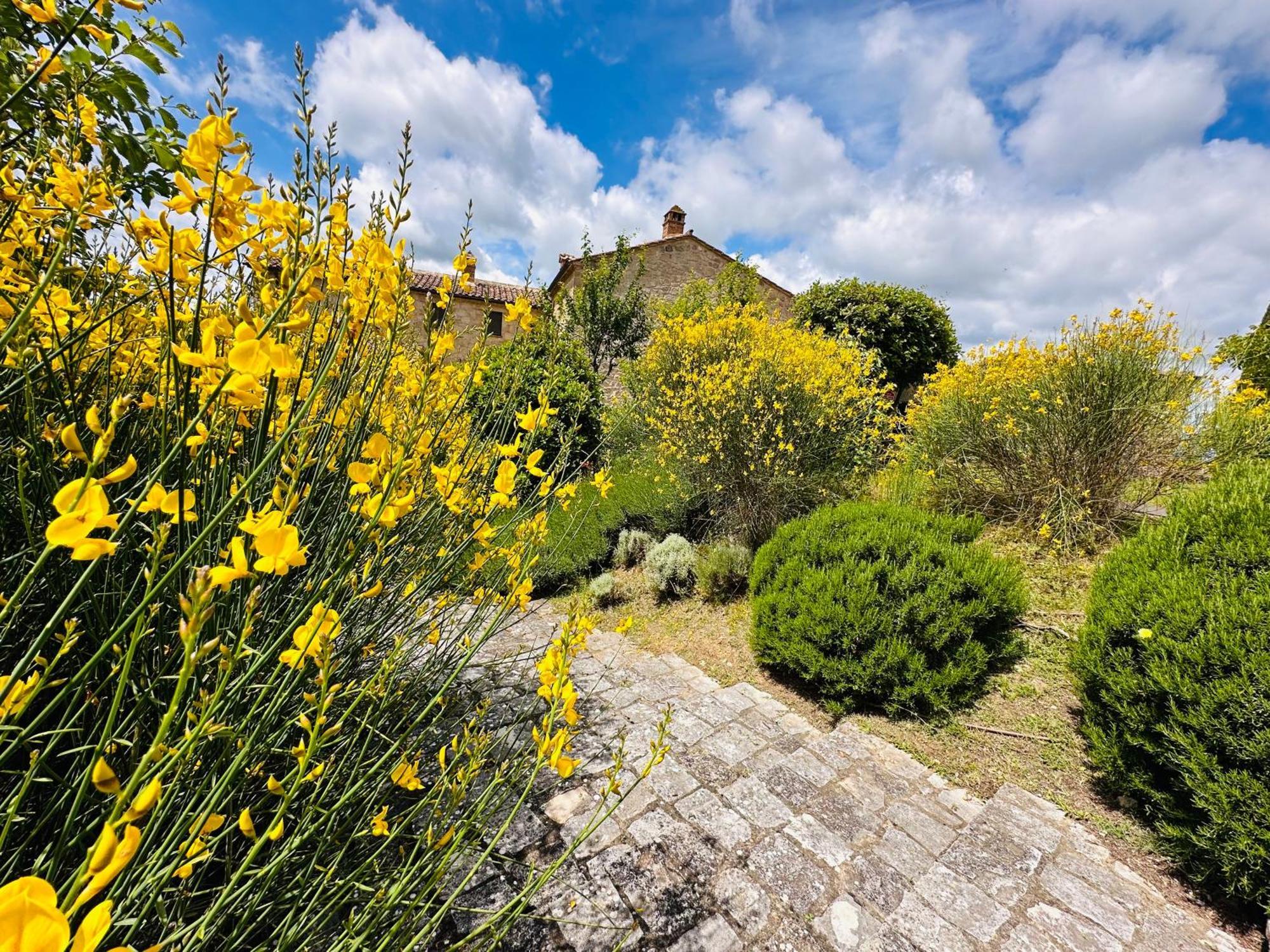 Appartamento Casa Mae Sarteano Esterno foto